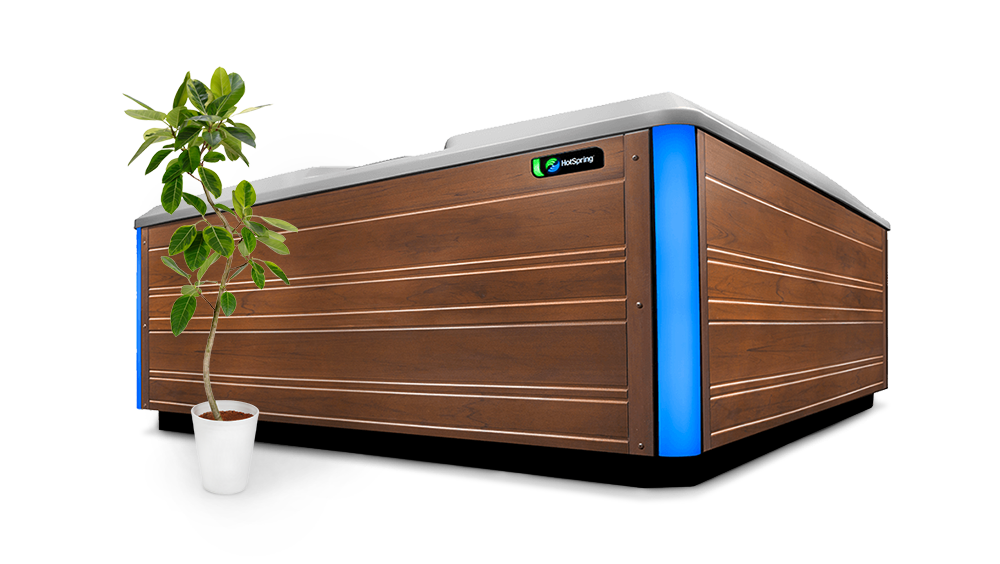 hot-spring-llc-extreme-angle-plant-16x9-1000x564-1